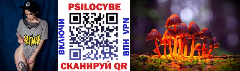 Галлюциногенные грибы мухоморы  мега как зайти  Камбарка 
